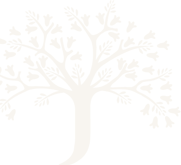 Group